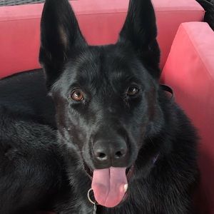 Meet your Posher, Jenn